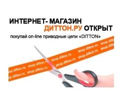Ditton.ru online-shop